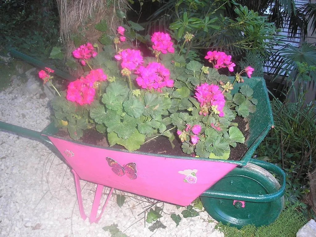 אופטיה Apartment Nena With Private Free Parking